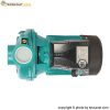 پمپ لیو 2 اسب بشقابی 2 اینچ سه فاز مدل AC150B2