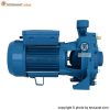 پمپ پنتاکس 1.5 اسب سانتریفیوژ دو پروانه مدل CB160/00