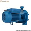 پمپ پنتاکس 1.5 اسب سانتریفیوژ دو پروانه مدل CB160/00