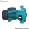 پمپ لیو 4 اسب سانتریفیوژ دو پروانه مدل 2ACm300H