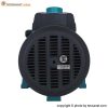 پمپ لیو 4 اسب سانتریفیوژ دو پروانه مدل 2ACm300H